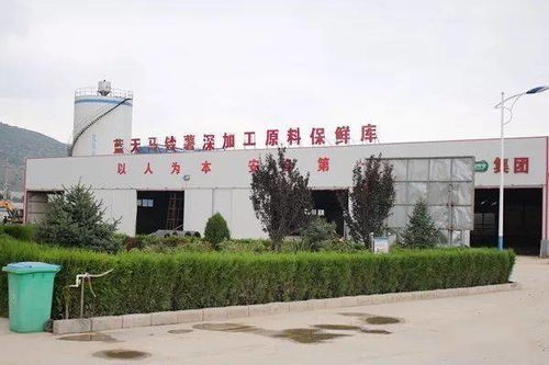 我國開發出6大系列260多種馬鈴薯主食產品